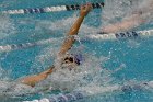 Swimming vs CGA  Wheaton College Swimming & Diving vs Coast Guard Academy. - Photo By: KEITH NORDSTROM : Wheaton, Swimming, diving